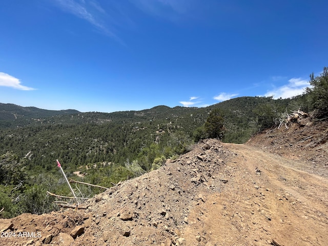 Listing photo 2 for 00 S Gladiator Mine Rd -, Unit Crown King AZ 86343