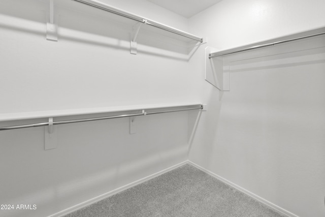 spacious closet featuring carpet