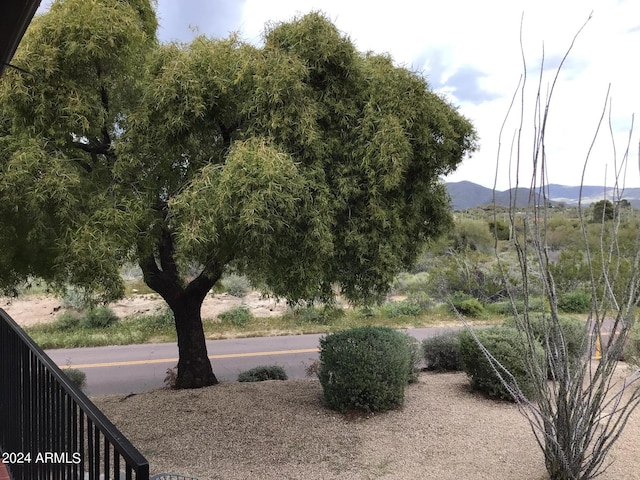 view of yard featuring a mountain view