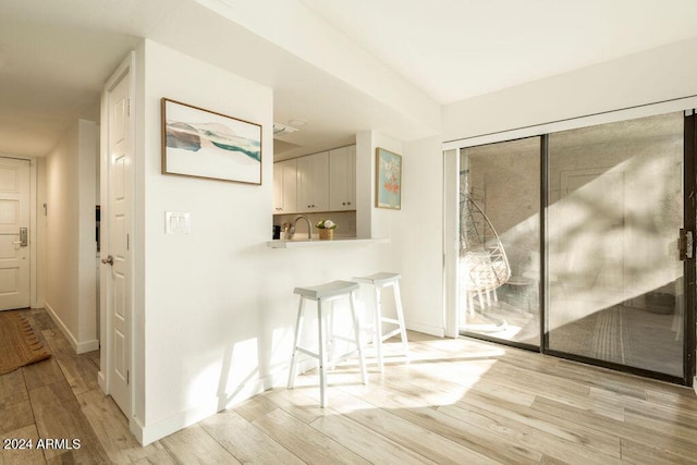 interior space with light hardwood / wood-style flooring and sink