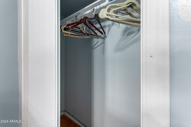 view of closet