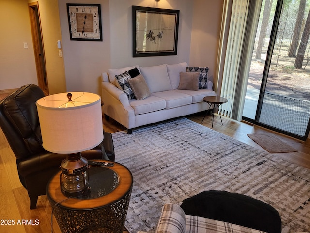 2978 Timberline Rd, Pinetop, AZ 85935 - living room featuring a healthy amount of sunlight and wood finished floors