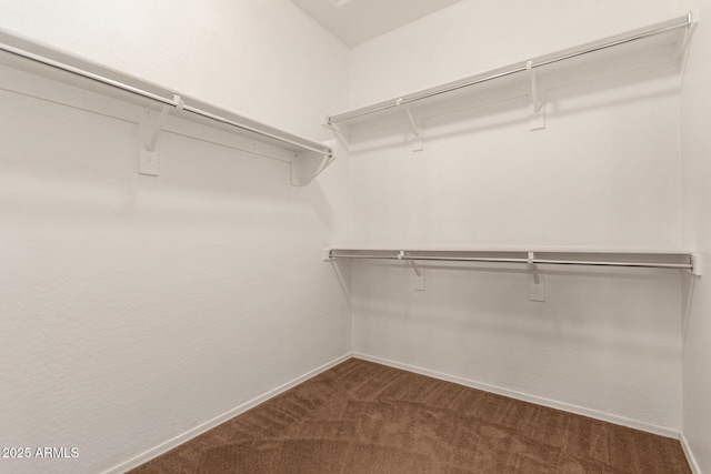 walk in closet with dark colored carpet