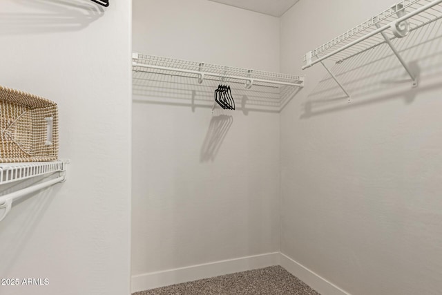33287 N Windmill Run, San Tan Valley, AZ 85144 - spacious closet with carpet floors