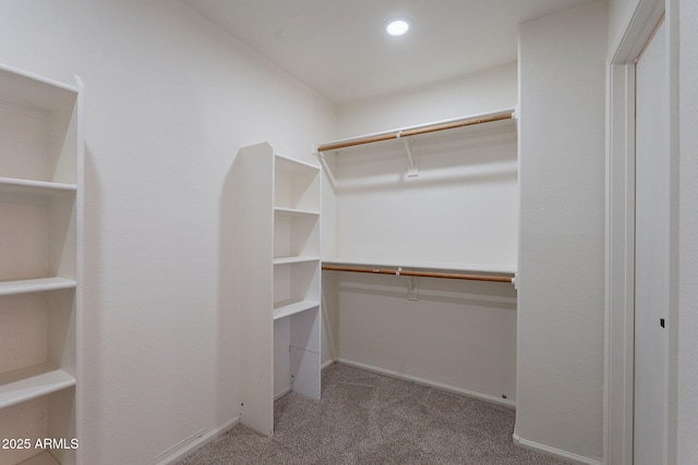 spacious closet with carpet