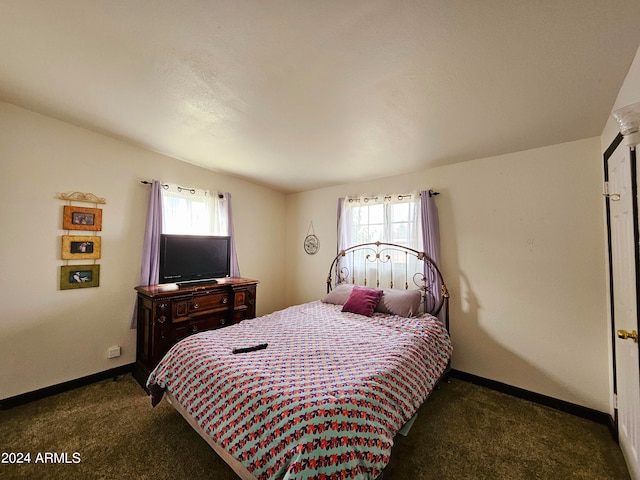 bedroom featuring dark colored carpet and multiple windows