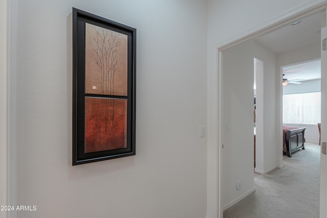 hallway featuring carpet floors