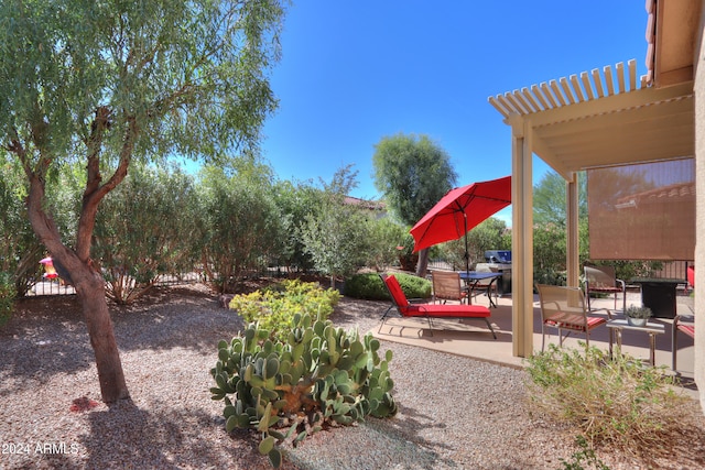 view of yard featuring a patio