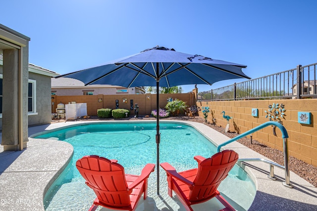 view of swimming pool featuring a fenced in pool, a patio, and a fenced backyard