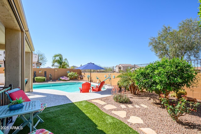 view of swimming pool with a fenced in pool, a patio, and a fenced backyard