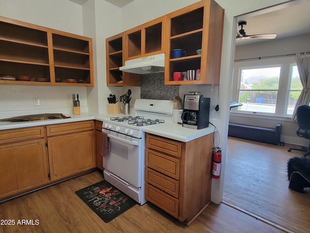 405 Powell St, Bisbee, AZ 85603 - kitchen featuring gas range gas stove, under cabinet range hood, open shelves, and wood finished floors