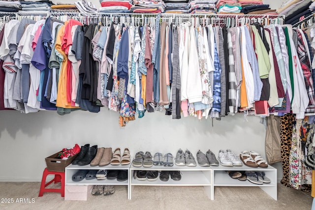 walk in closet with carpet