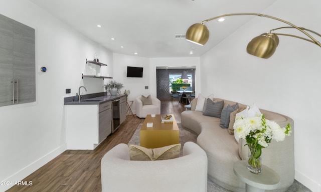 living room featuring dark wood-type flooring and sink