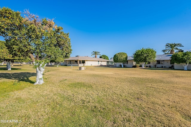 view of yard