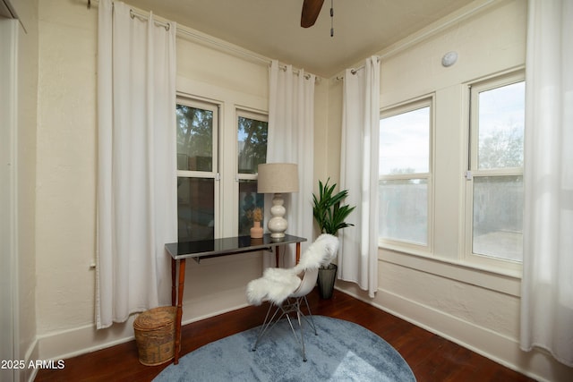 sitting room with dark hardwood / wood-style floors and ceiling fan