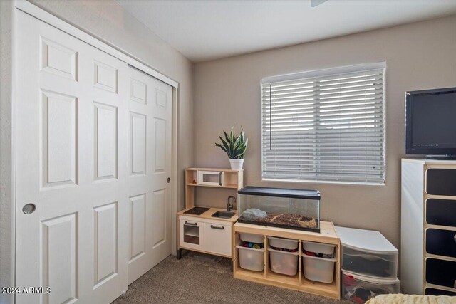 recreation room featuring dark colored carpet