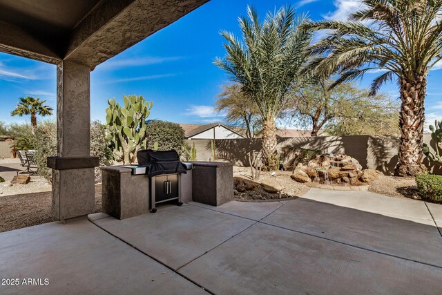 view of patio / terrace with area for grilling and grilling area