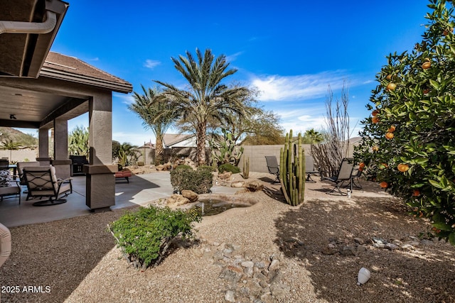 view of yard featuring a patio