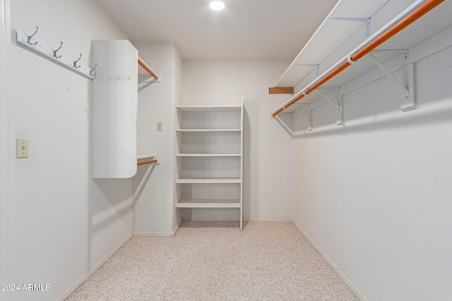 walk in closet with light colored carpet