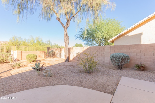 view of yard featuring a patio