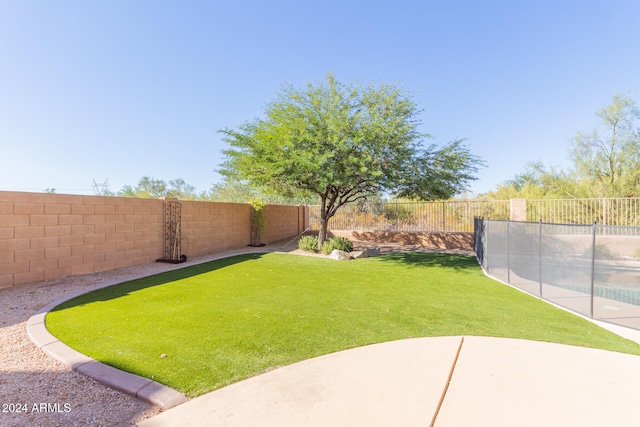 view of yard featuring a patio and a pool