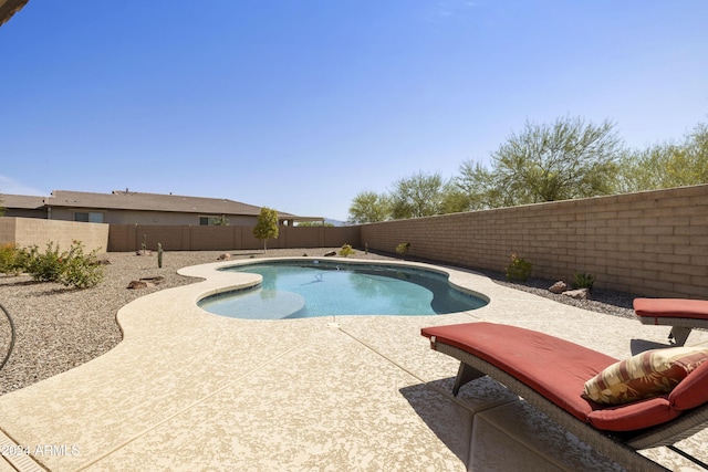 view of pool with a patio