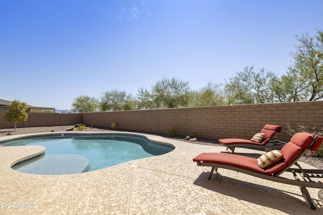 view of pool with a patio area