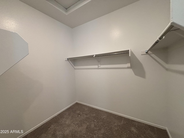 spacious closet featuring carpet flooring