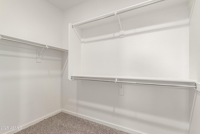 2920 E Virginia St E, Mesa, AZ 85213 - walk in closet featuring carpet floors