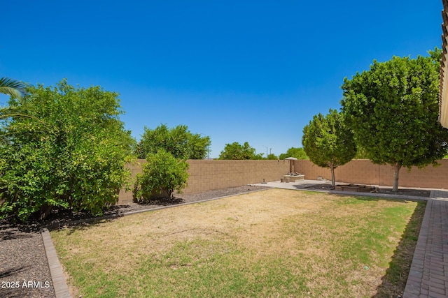 2920 E Virginia St E, Mesa, AZ 85213 - view of yard