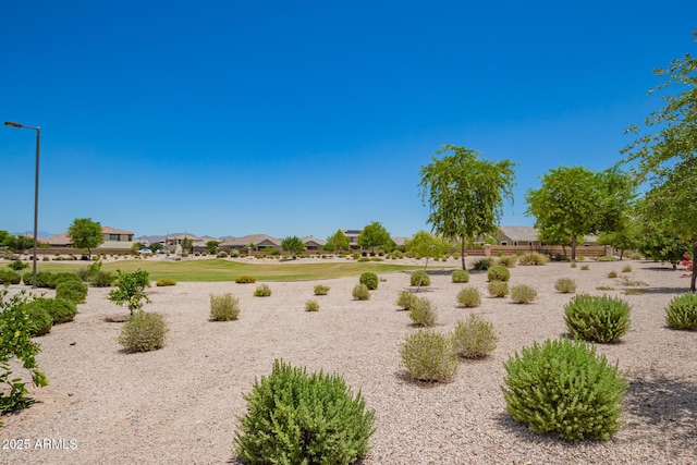 2920 E Virginia St E, Mesa, AZ 85213 - view of yard featuring a residential view