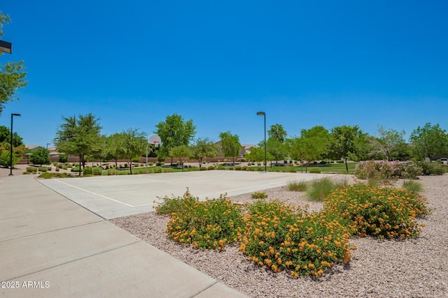 2920 E Virginia St E, Mesa, AZ 85213 - view of home's community featuring community basketball court