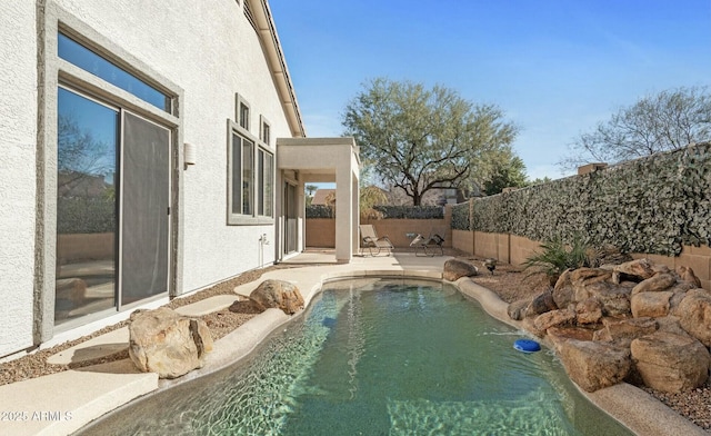 view of swimming pool with a patio