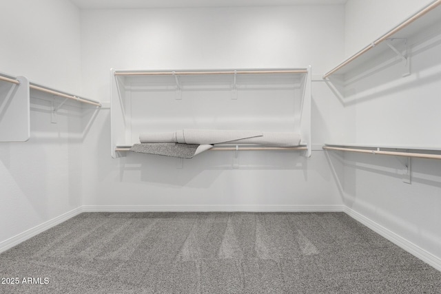 spacious closet featuring carpet floors