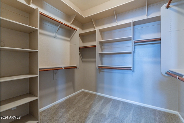 walk in closet featuring carpet floors