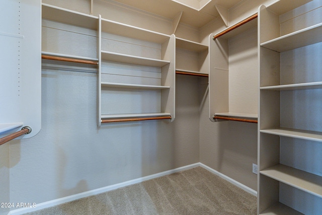 spacious closet featuring carpet floors