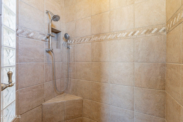 interior details with tiled shower