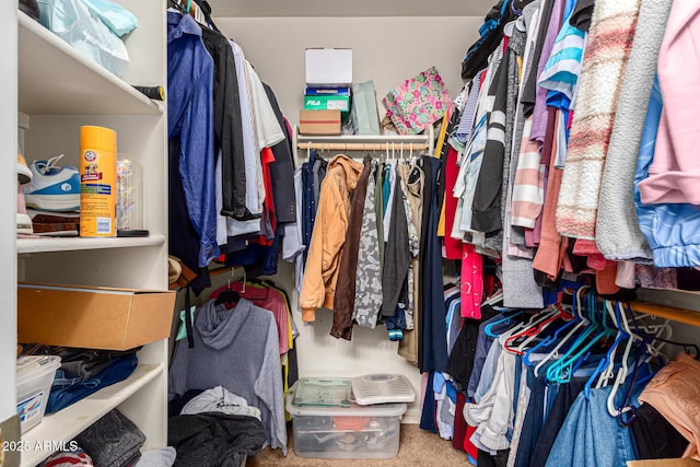 spacious closet with carpet