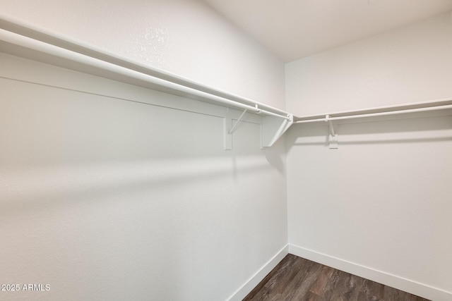 spacious closet featuring dark wood-style flooring