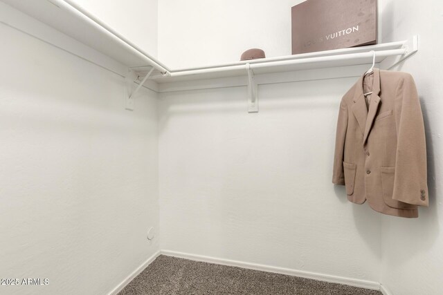 14919 W Hearn Cir, Surprise, AZ 85379 - spacious closet featuring carpet flooring