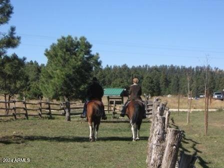 view of yard featuring a rural view