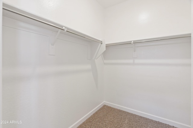 spacious closet featuring carpet floors