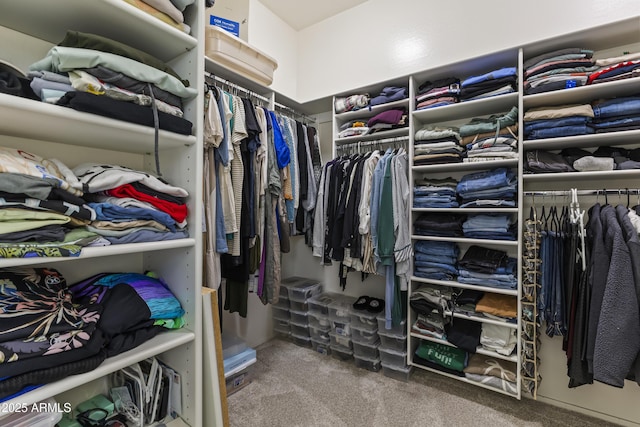 walk in closet with carpet floors