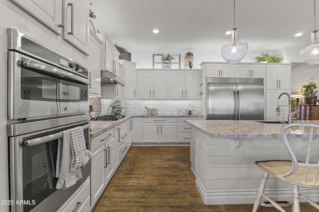 kitchen featuring dark wood-type flooring, under cabinet range hood, a sink, stainless steel appliances, and decorative backsplash