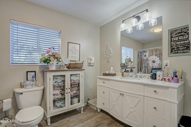 full bathroom featuring toilet, a shower with shower curtain, vanity, and wood finished floors