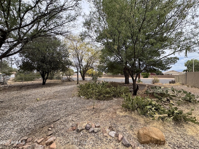 831 S Calle Virada, Sierra Vista, AZ 85635 - view of yard