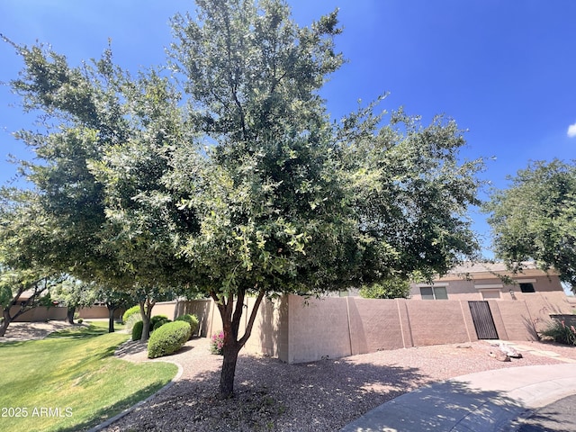 3225 E Cardinal Ct, Chandler, AZ 85286 - view of fenced yard