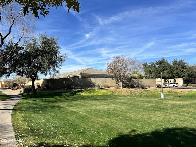 3225 E Cardinal Ct, Chandler, AZ 85286 - view of yard