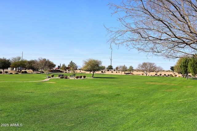 view of property's community with a yard