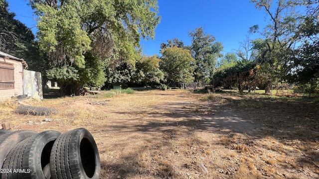 view of yard